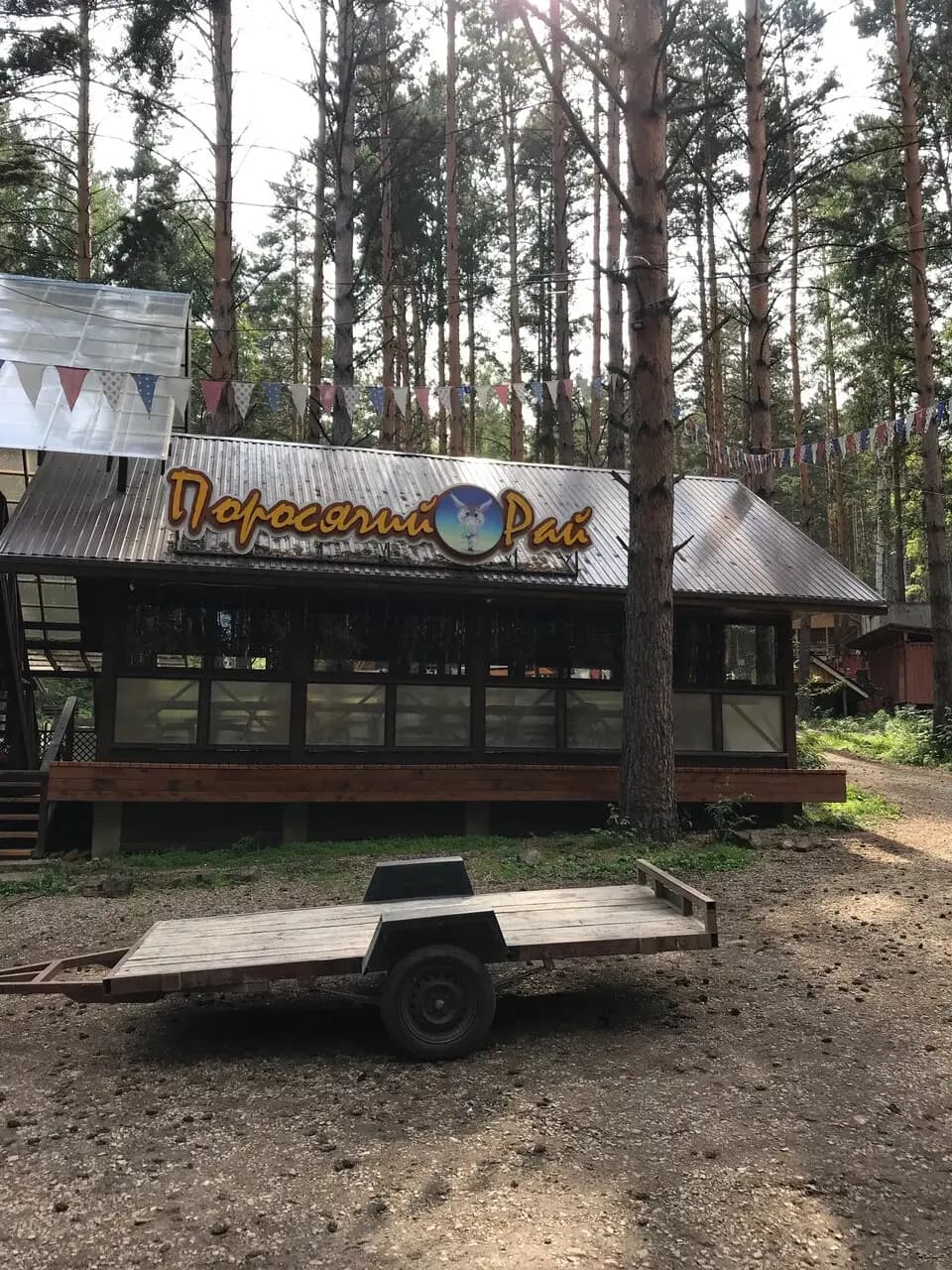 Поросячий рай