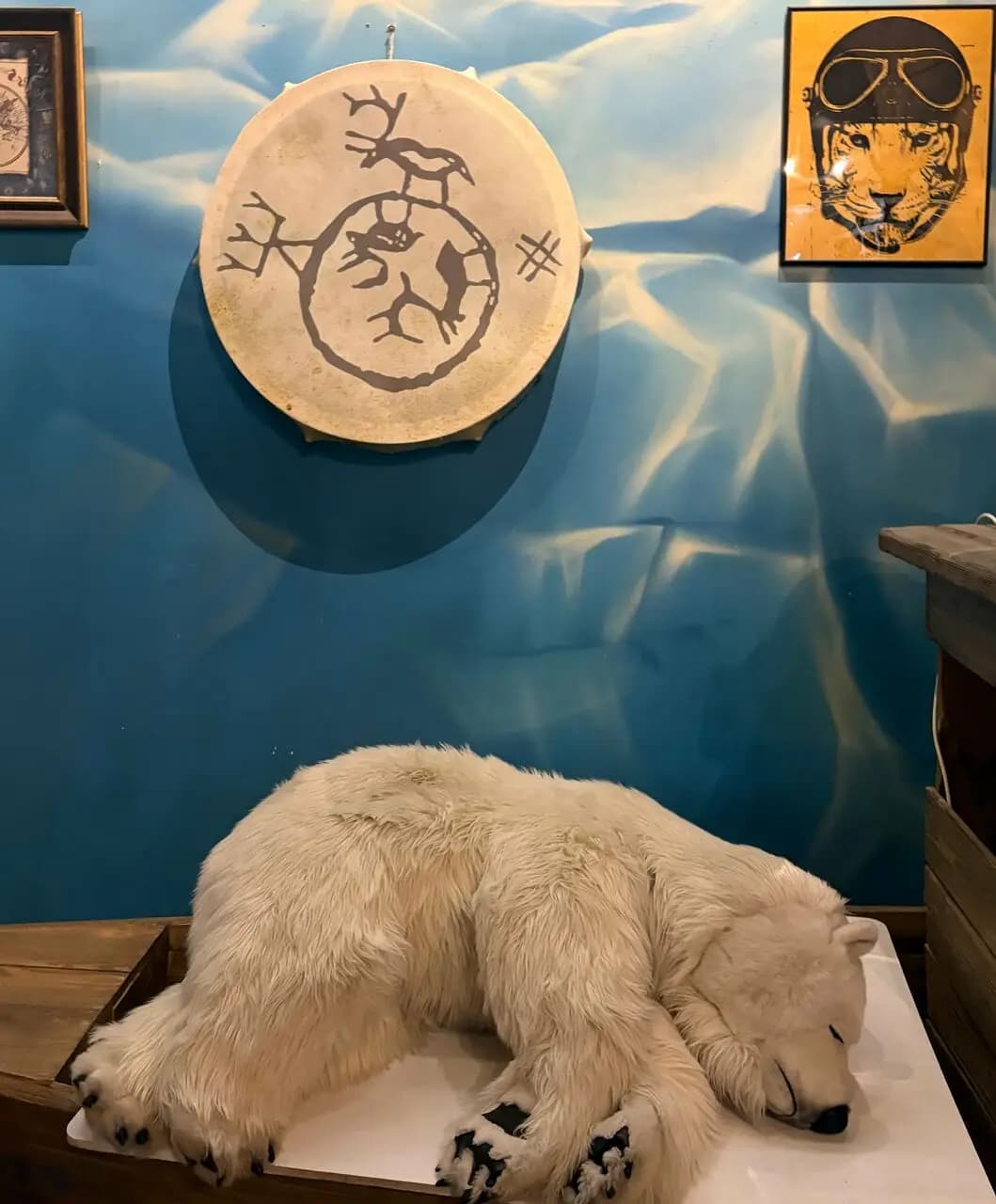 Экспедиция