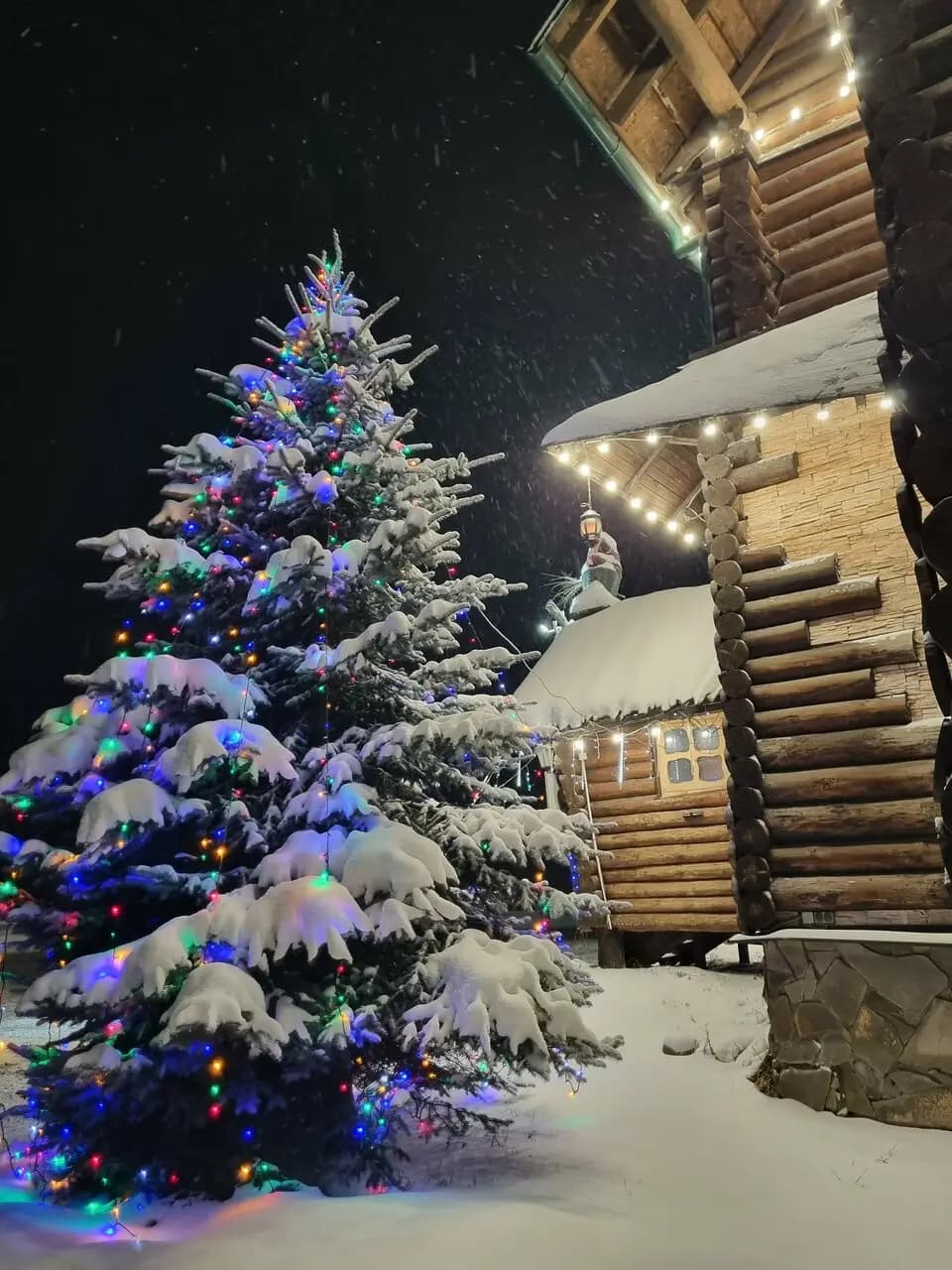 Лесная сказка