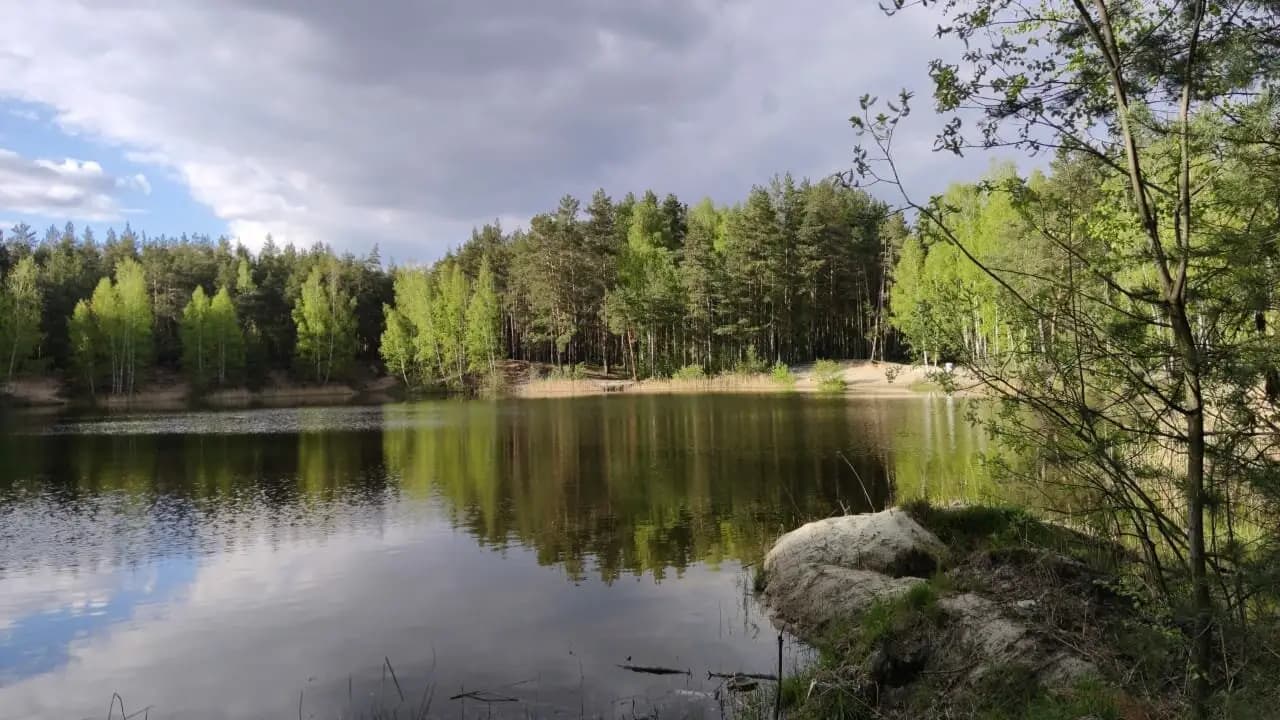 Лесная сказка