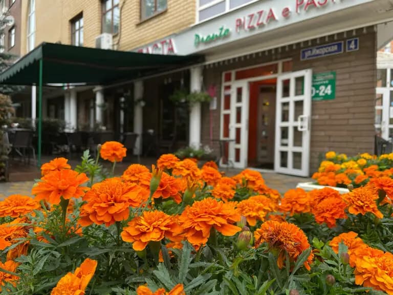 Pronto Pizza e Pasta