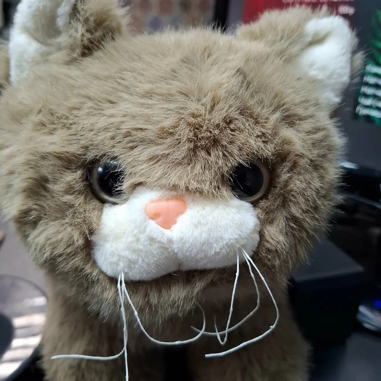 Сокровищница