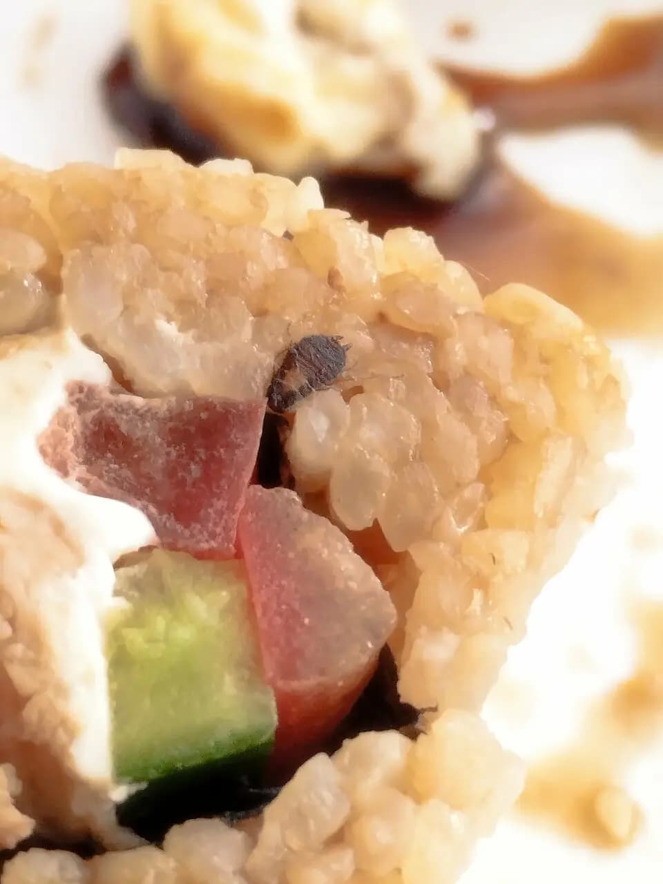 Суши Тагила