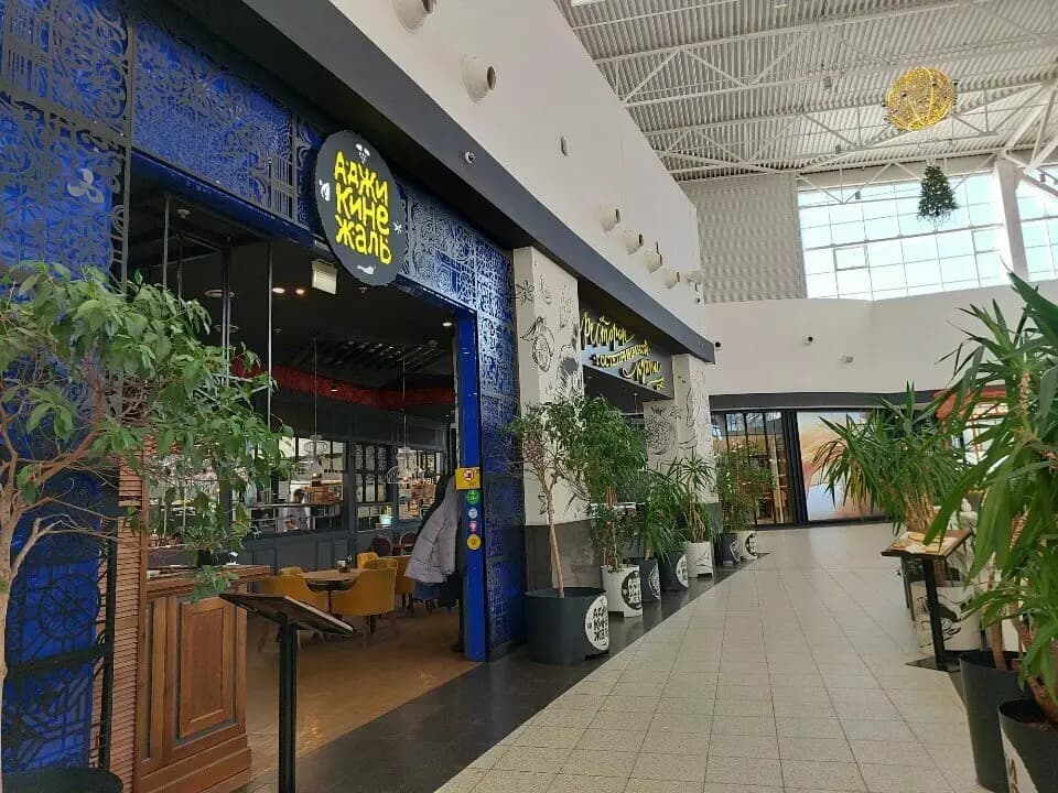 Аджикинежаль