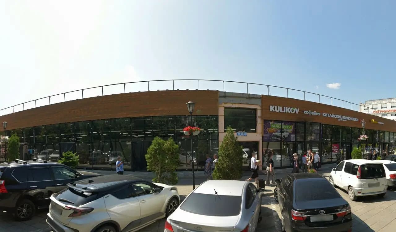 Утка династии Цинь