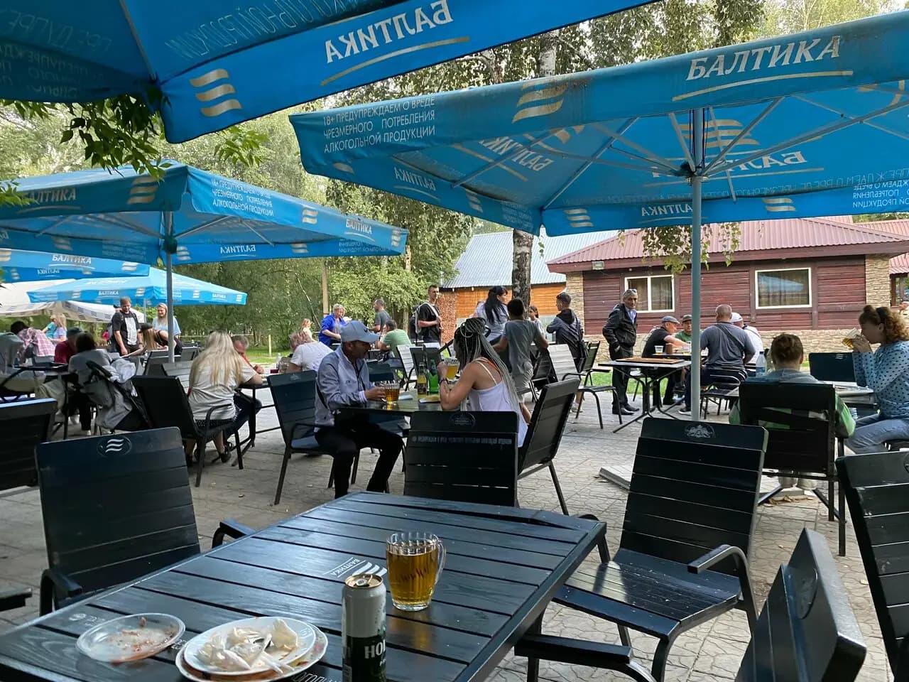 В Березовой роще