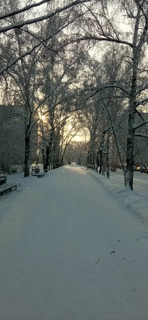 Солнечный День