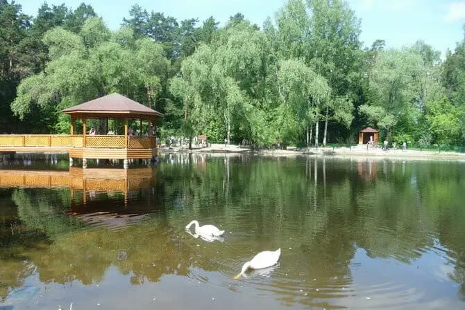 Лебединое озеро