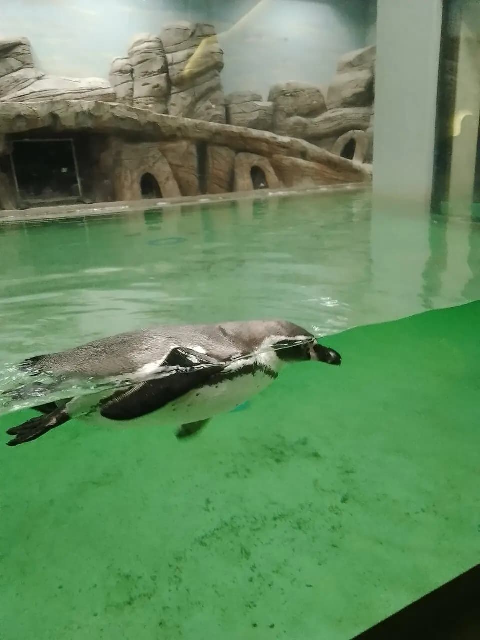 Лебединое озеро