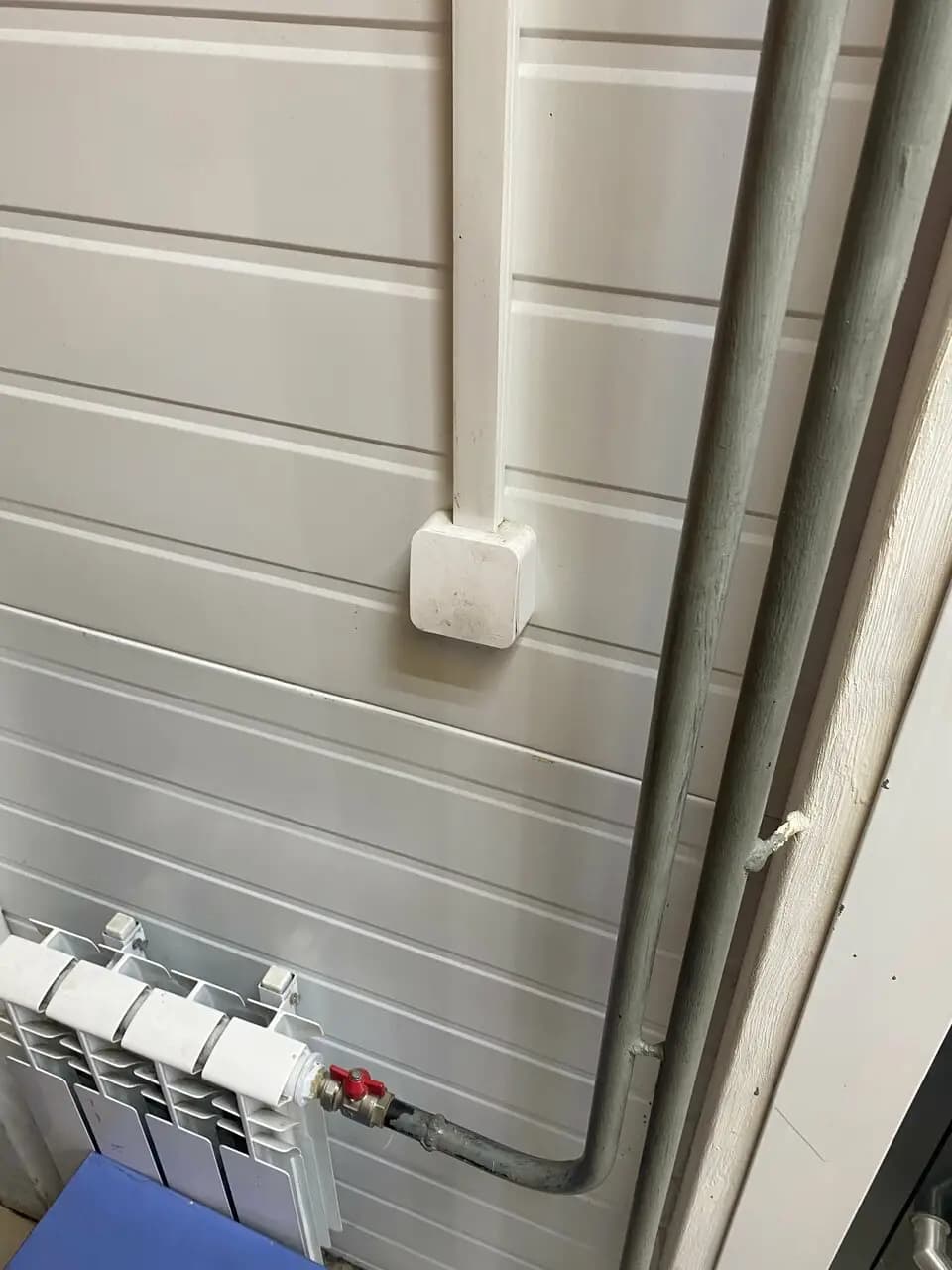 Шаурма на студенческой