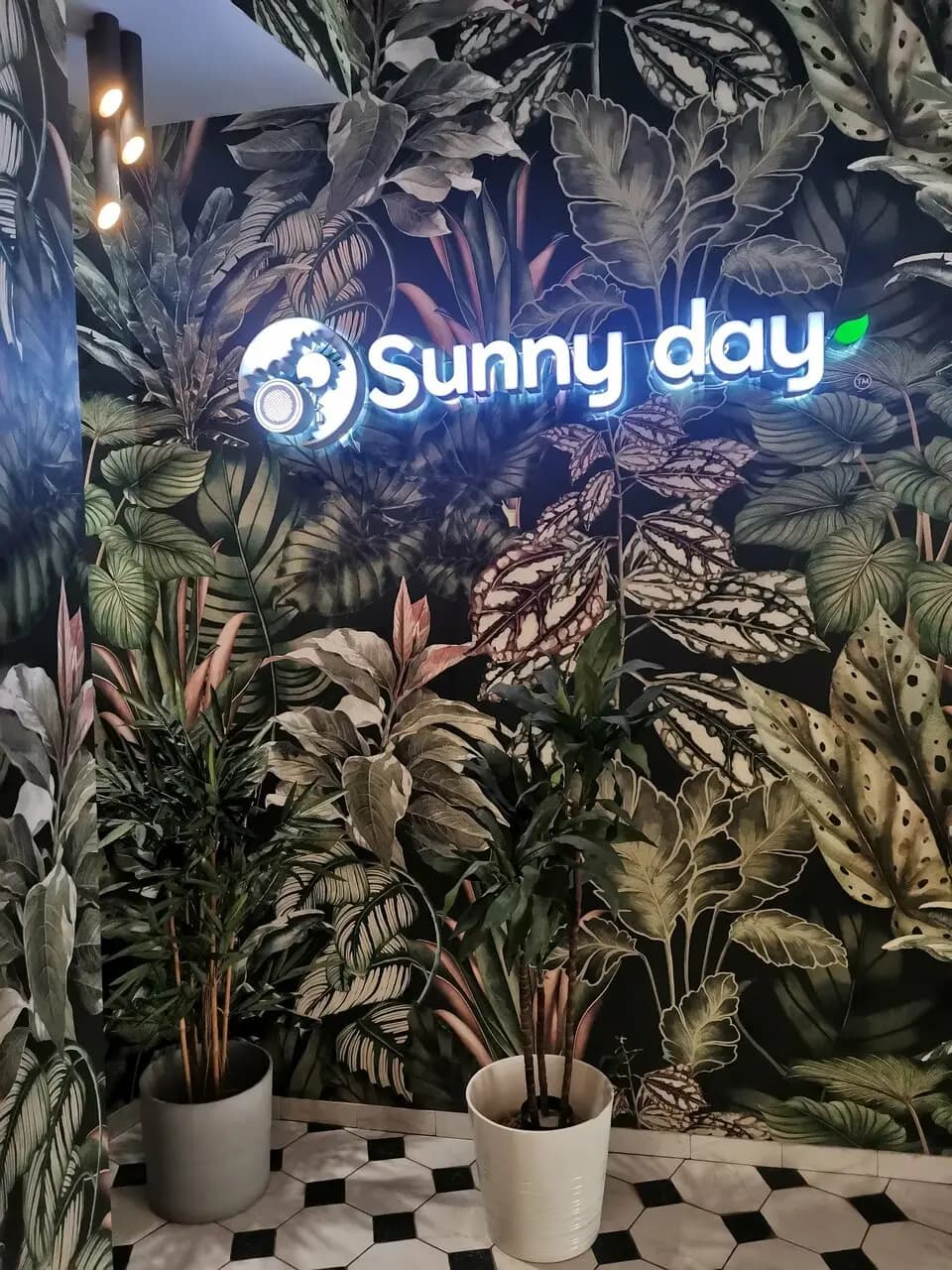 Солнечный день