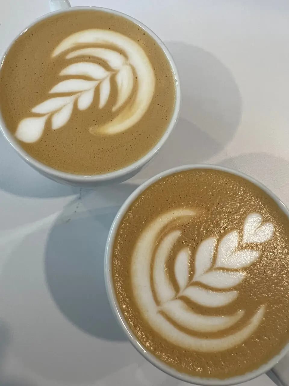 Академия кофе