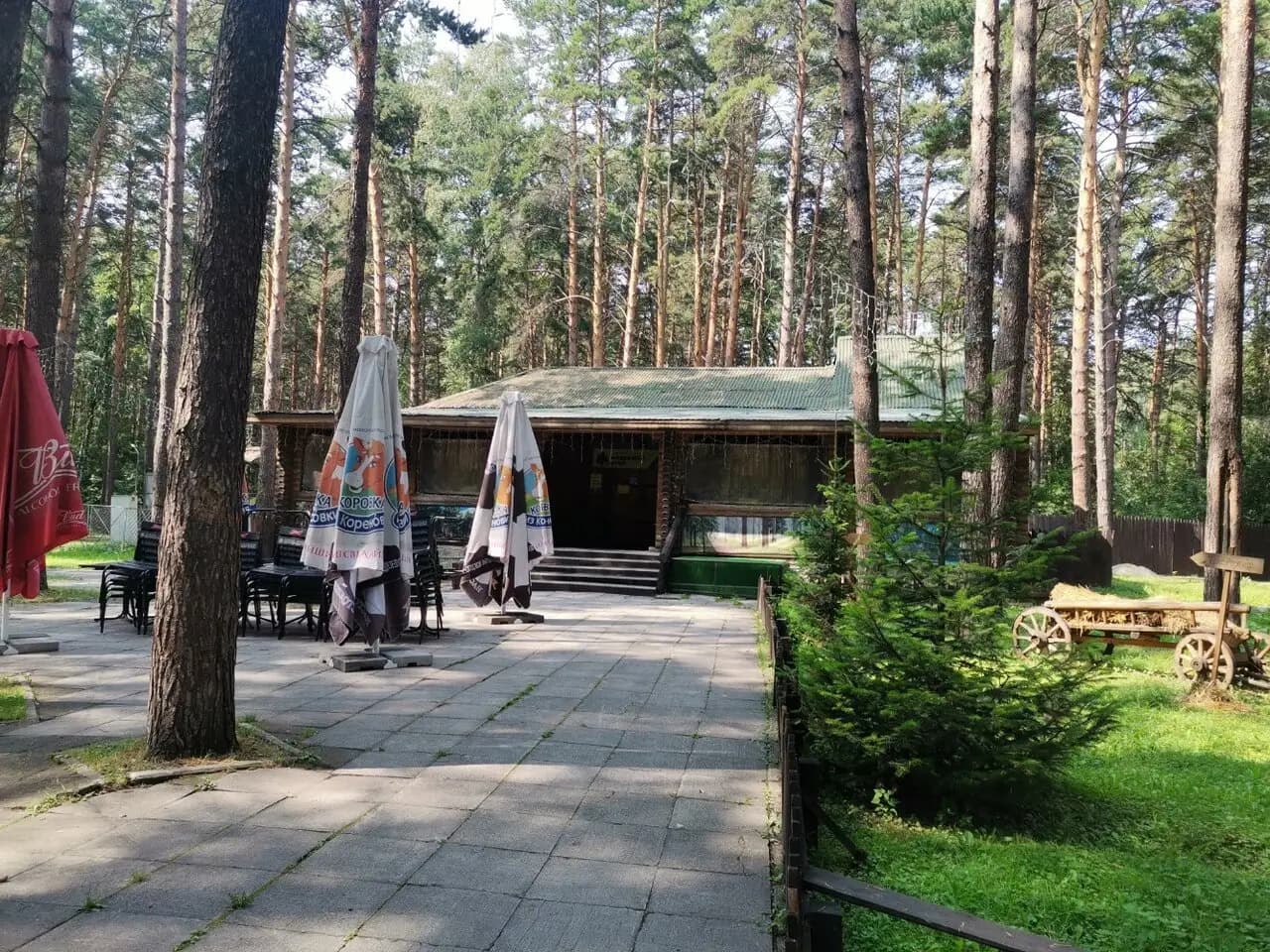 Медвежий угол