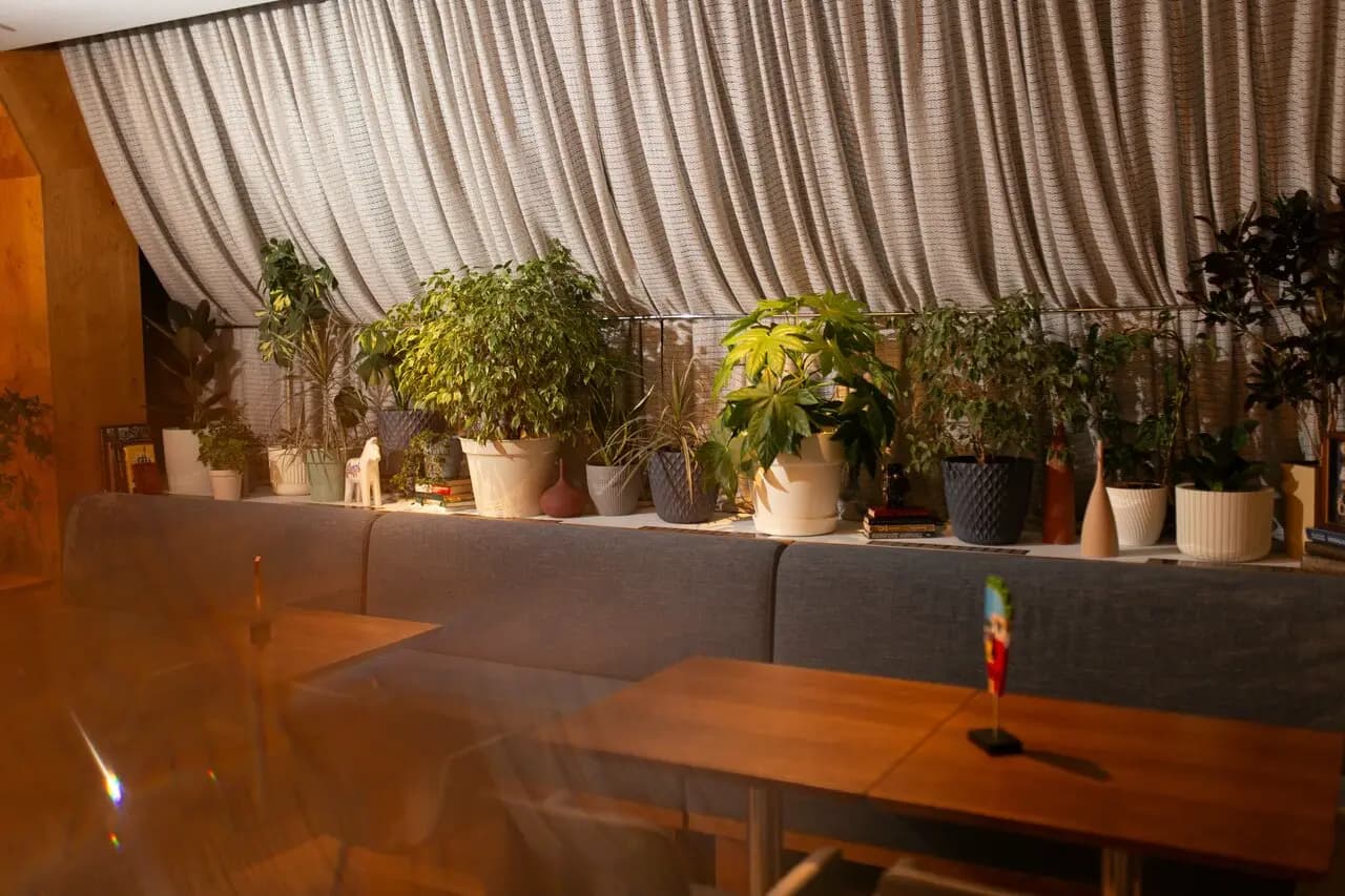 Белла, красное