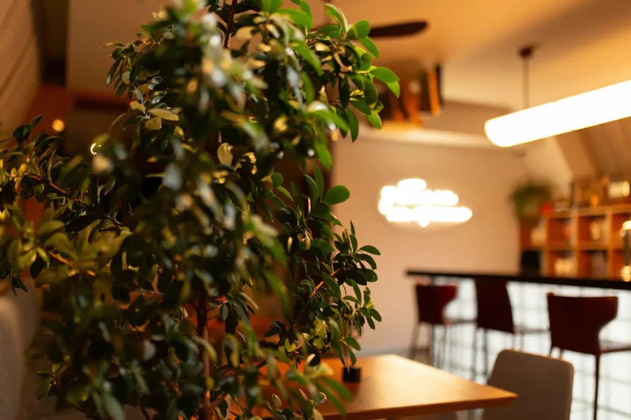 Белла, красное