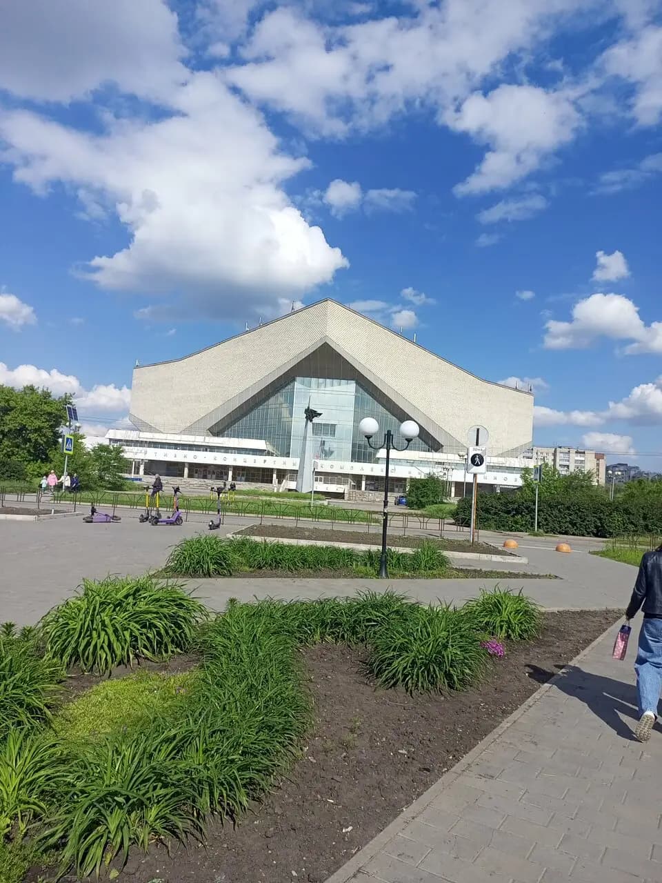 Розы морозы