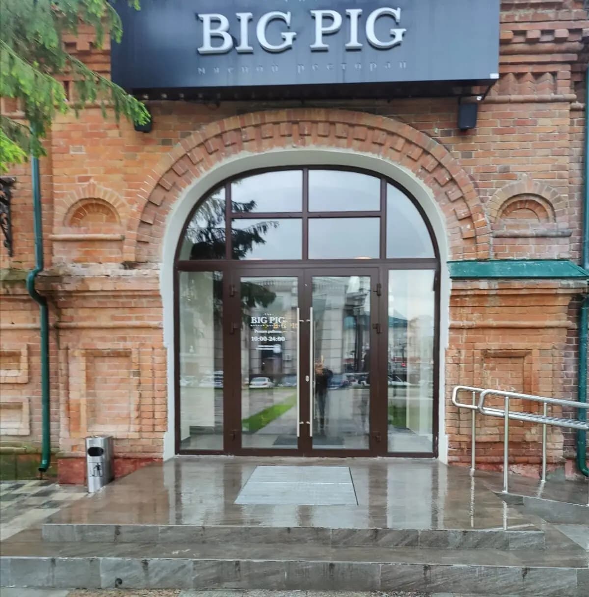 Big pig