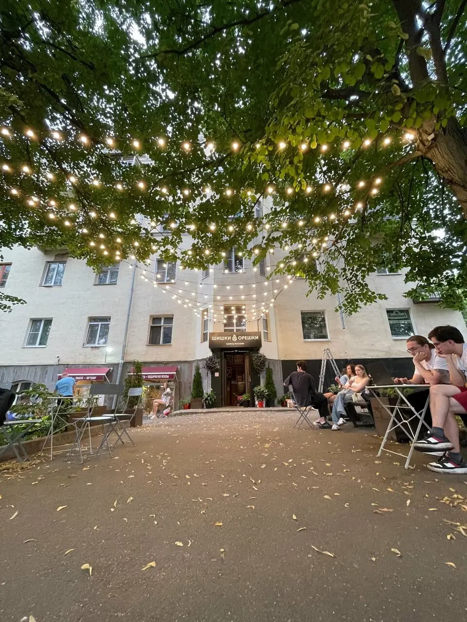 Шишки&Орешки