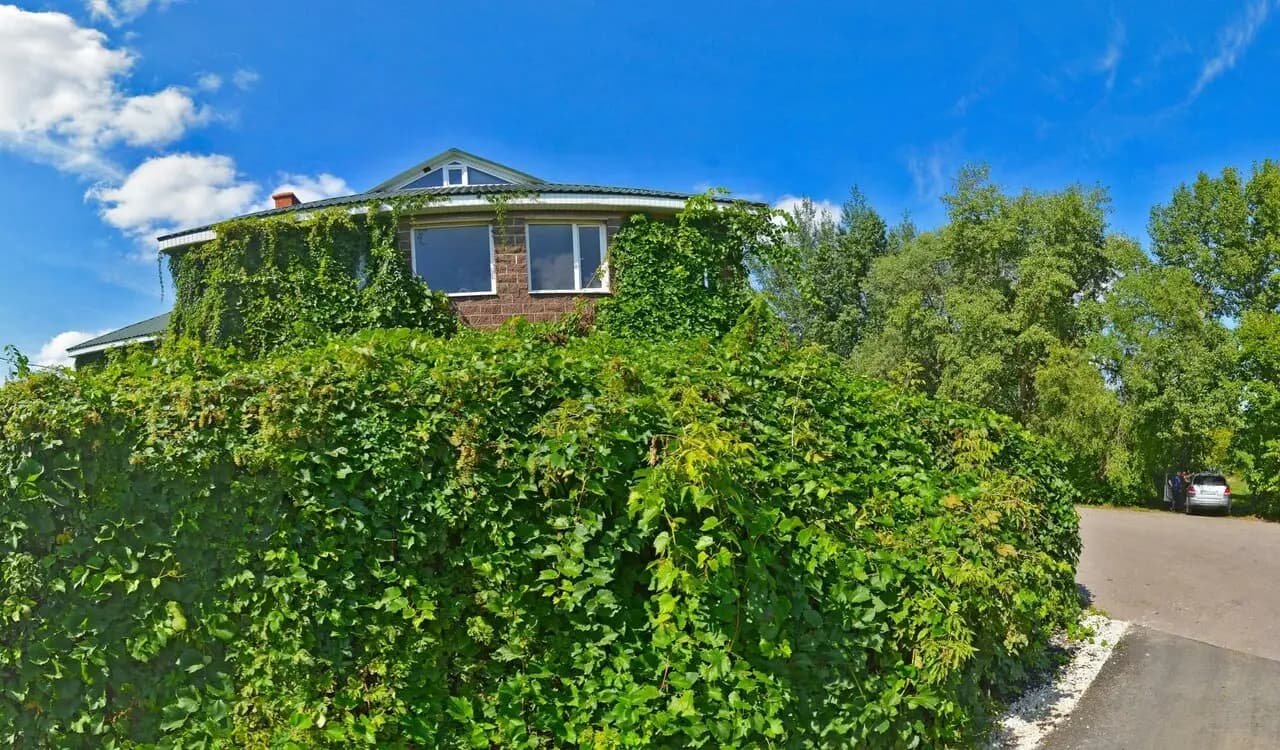 Шашлыная у Мартуна