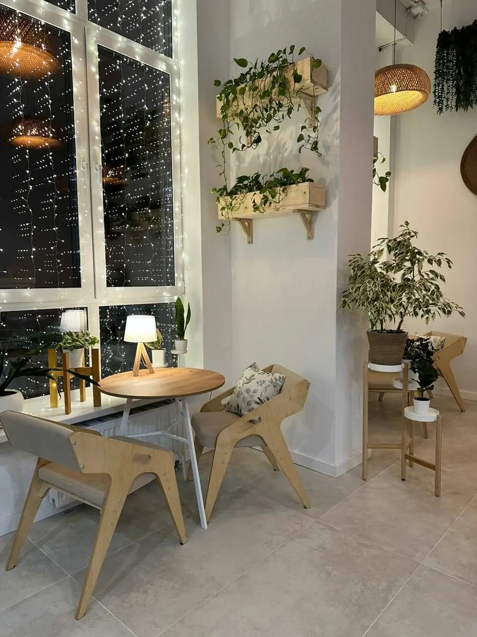 Кофейное дерево