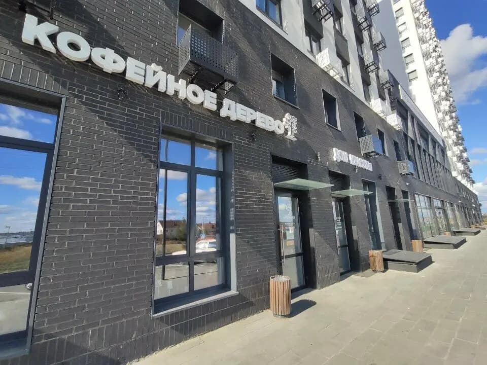 Кофейное дерево