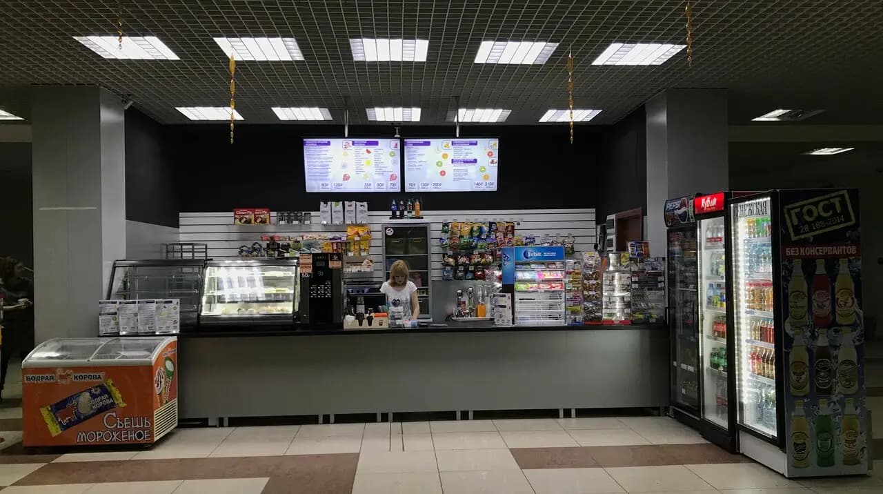 Бодрый Енот