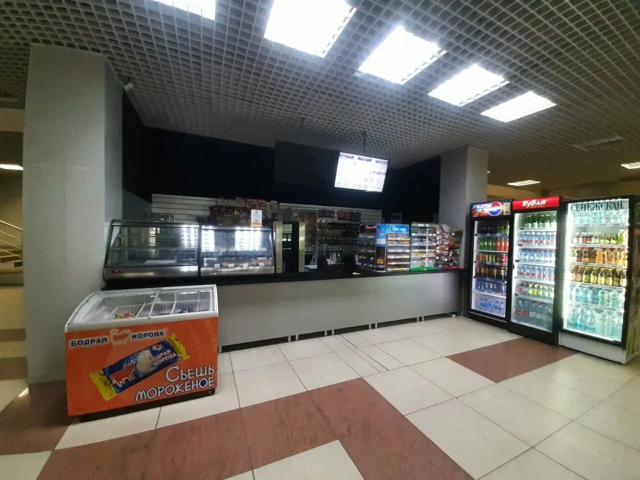 Бодрый Енот