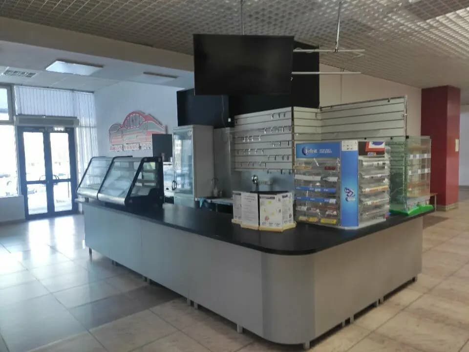 Бодрый Енот