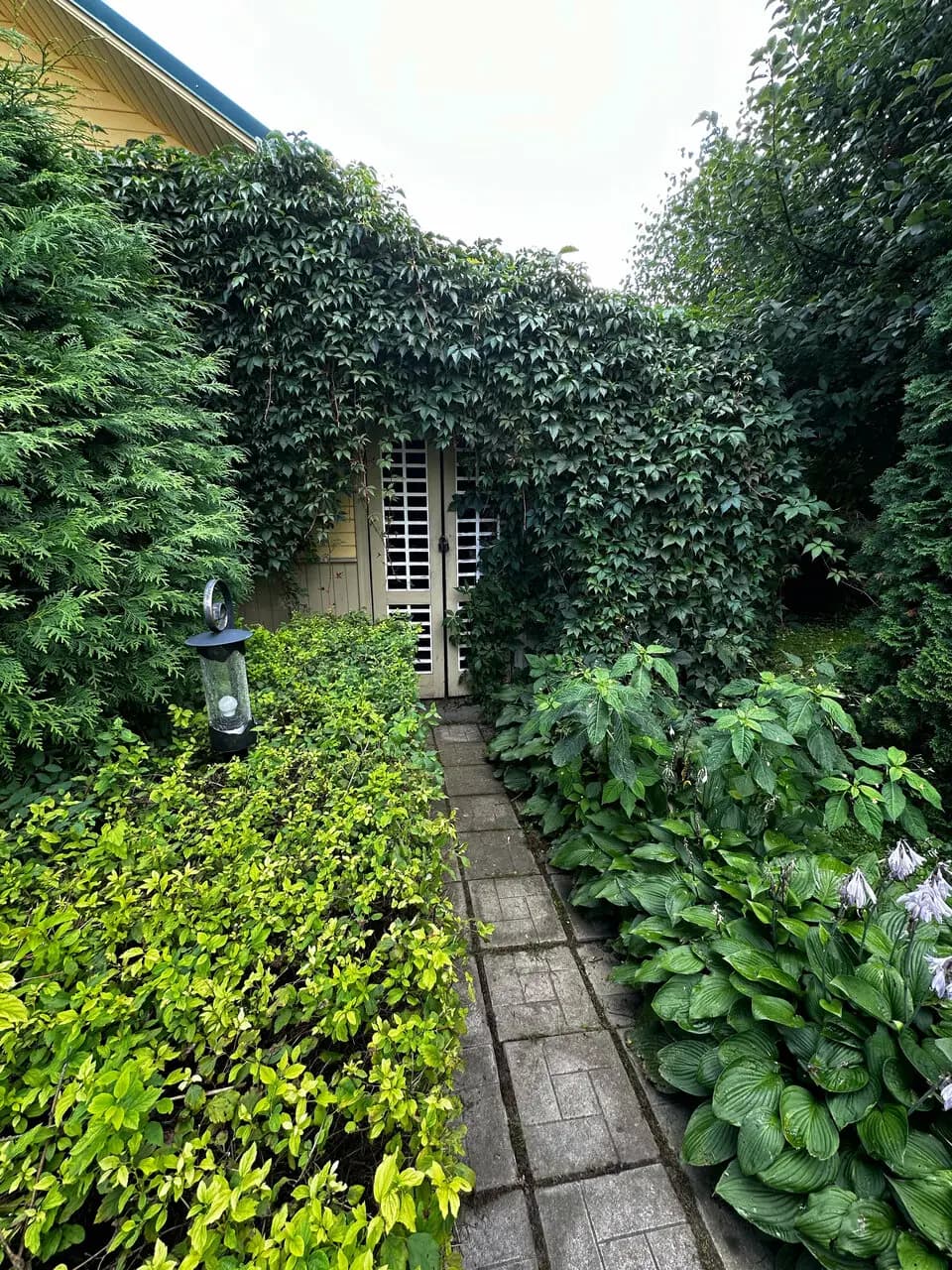 Альбицкий сад