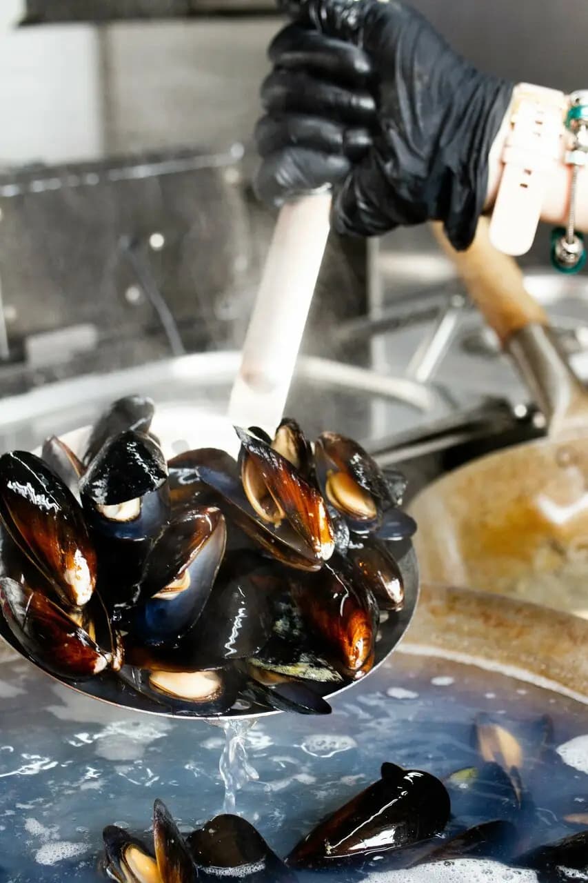 Мидийный дом