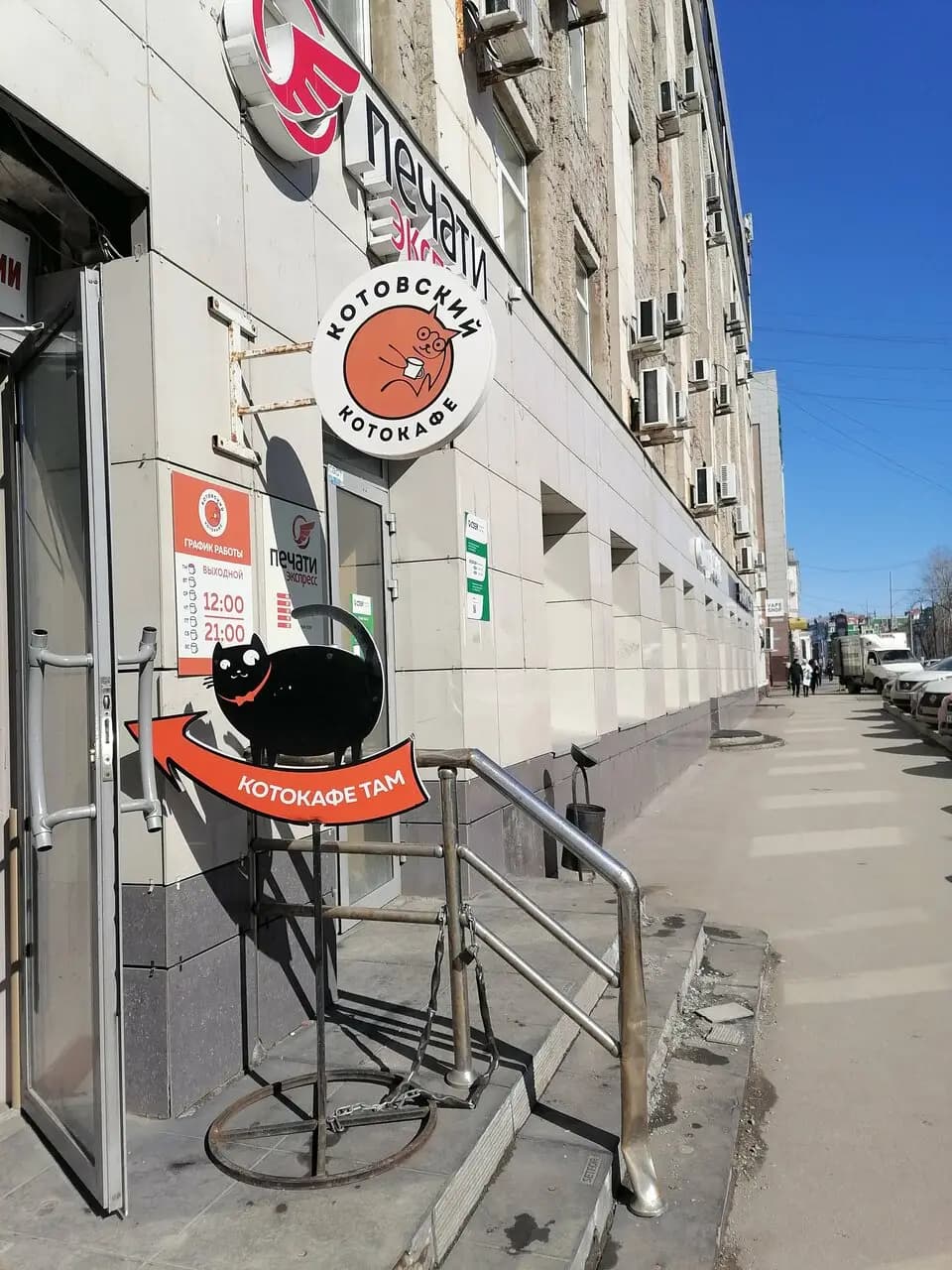 Котокафе Котовский