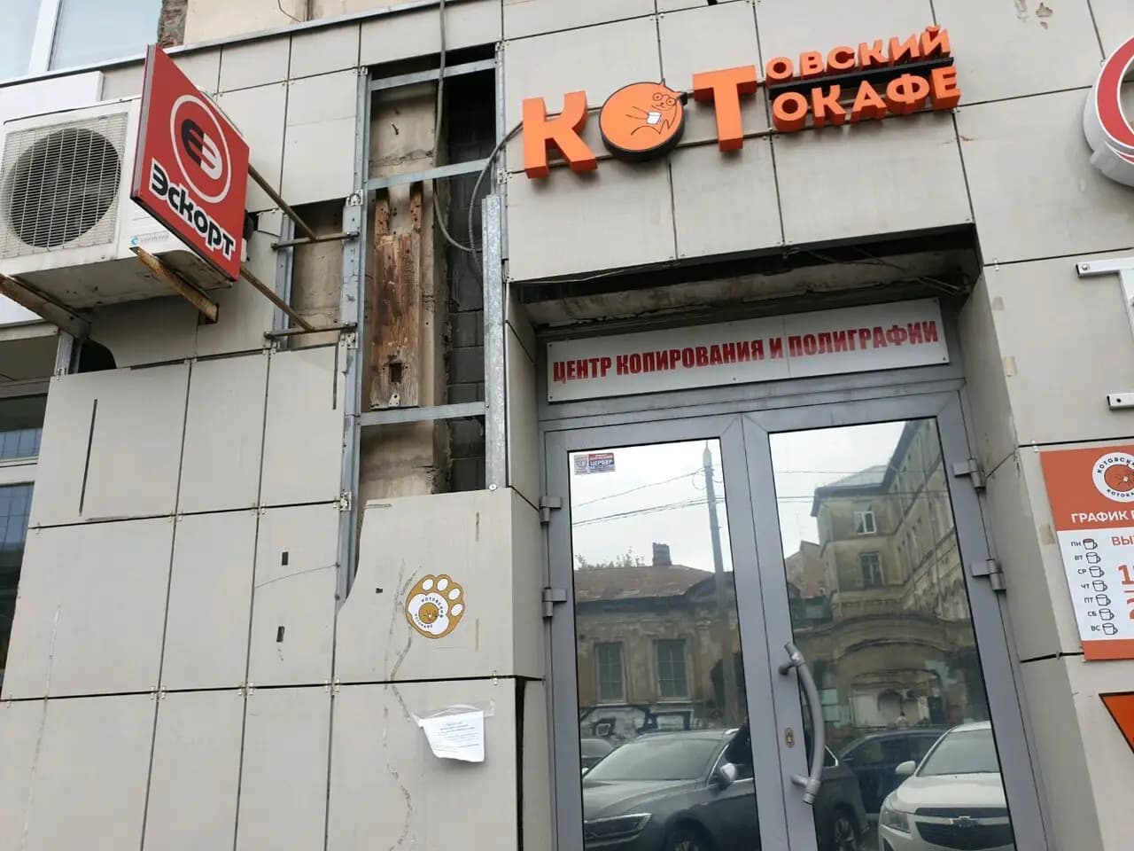 Котокафе Котовский