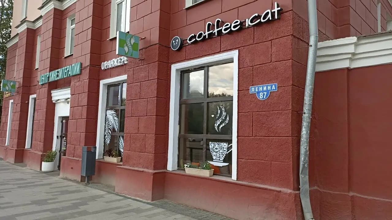 Coffee Cat