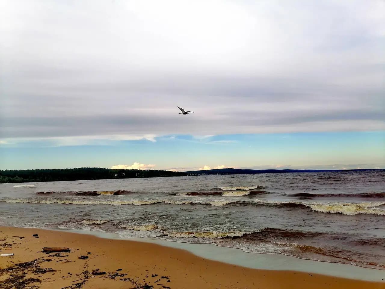 Шашлычный двор