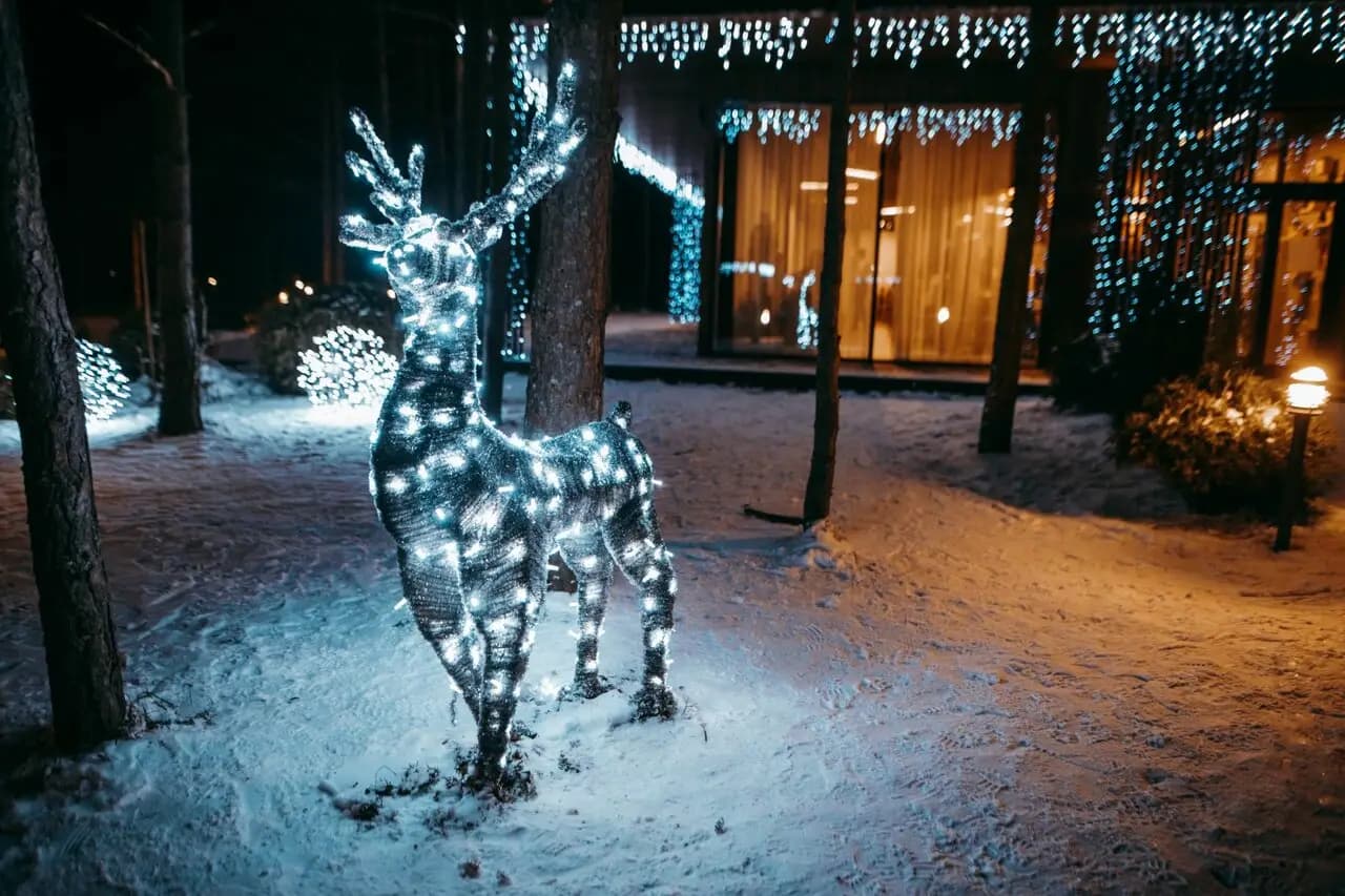 Точка на карте