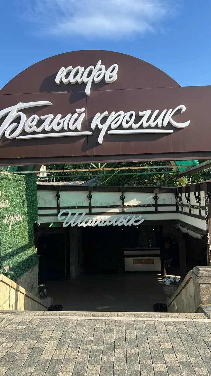 Белый кролик