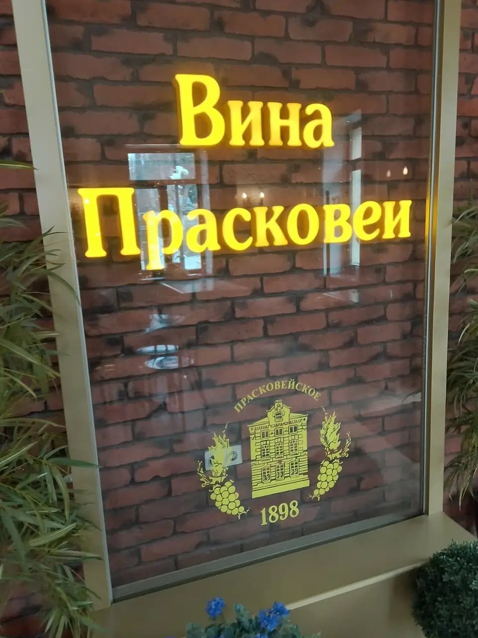 Вина Прасковеи-12