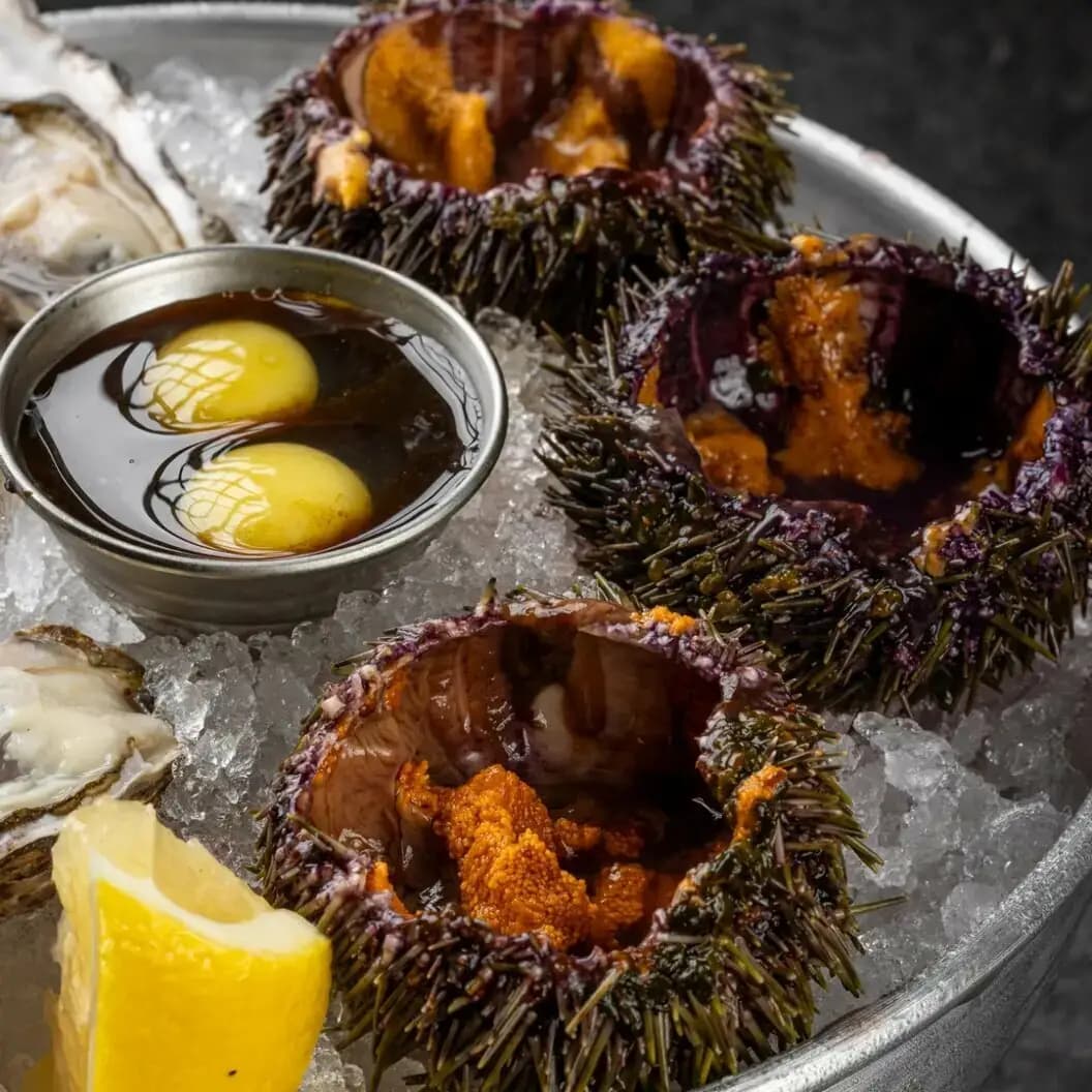 Мидийное место