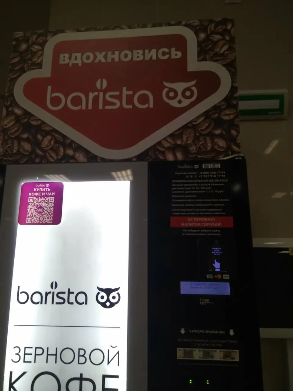 Barista