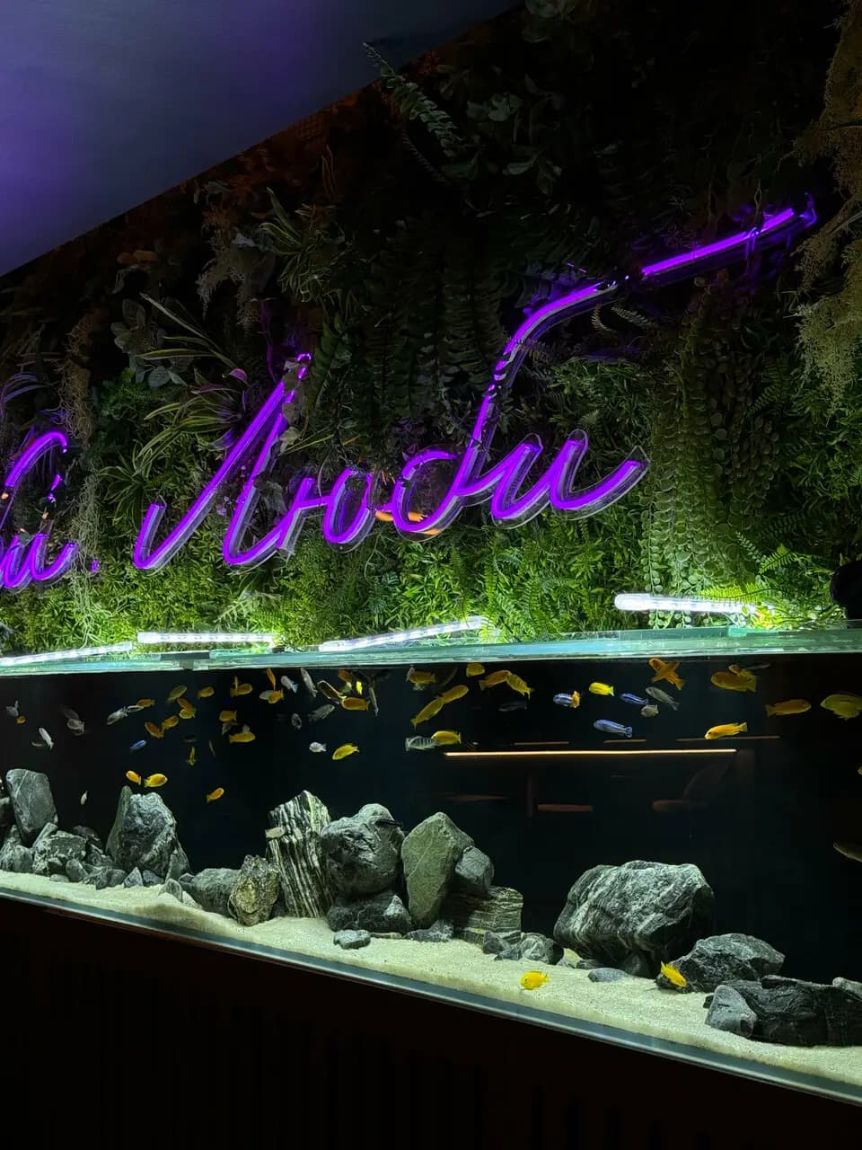 Рестобар 1095