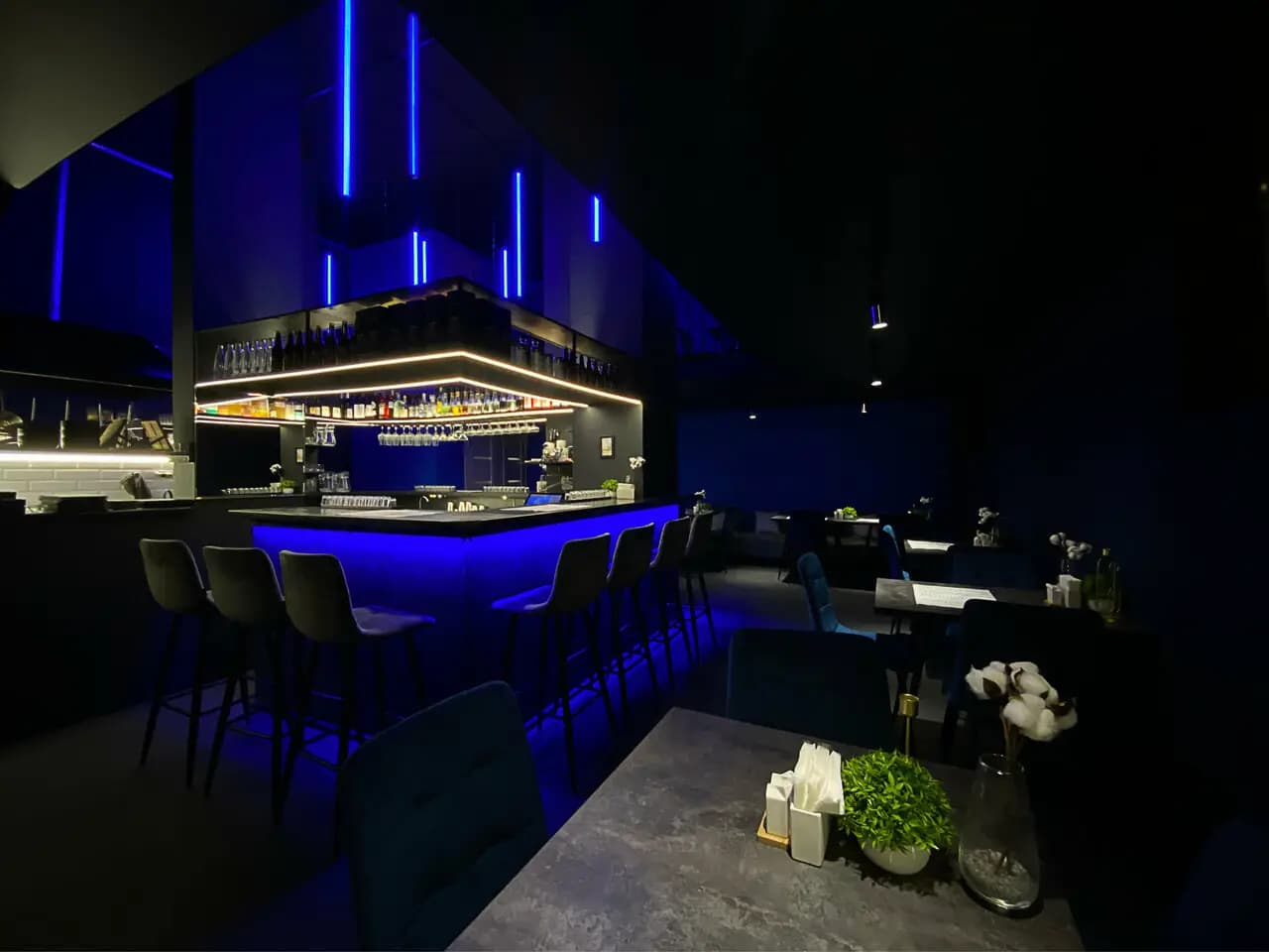 Синий дрозд