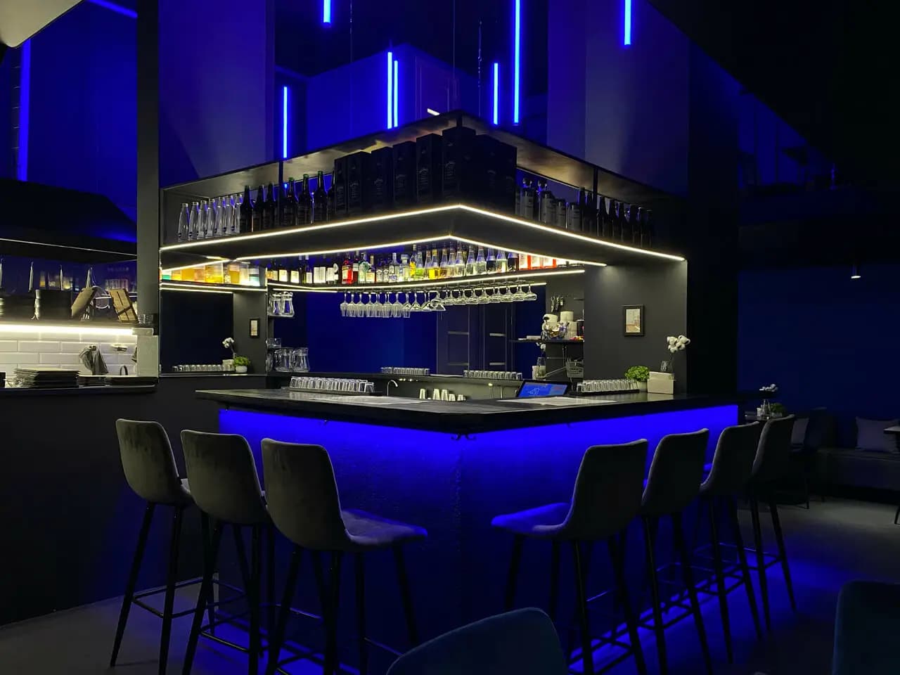 Синий дрозд