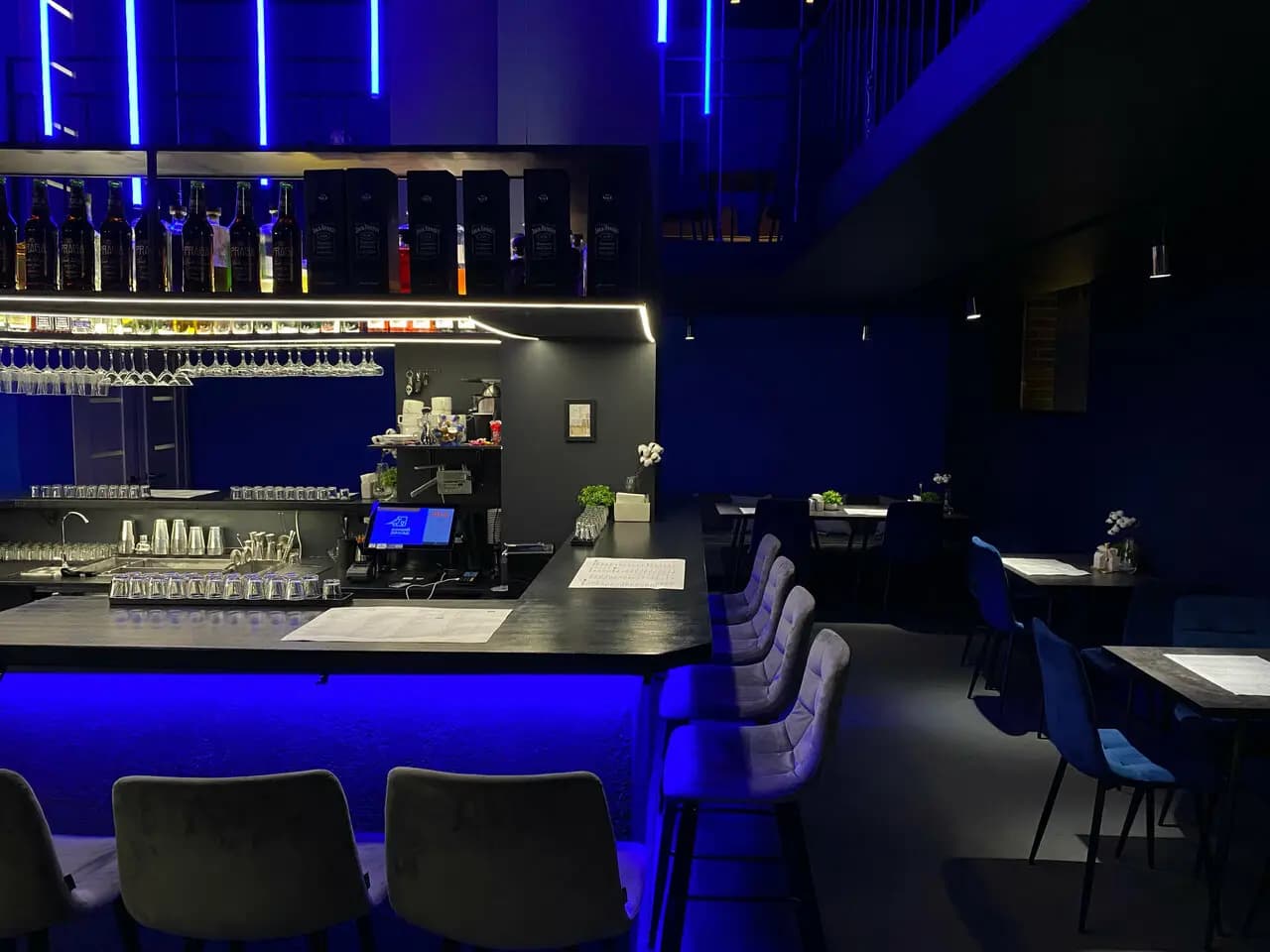 Синий дрозд