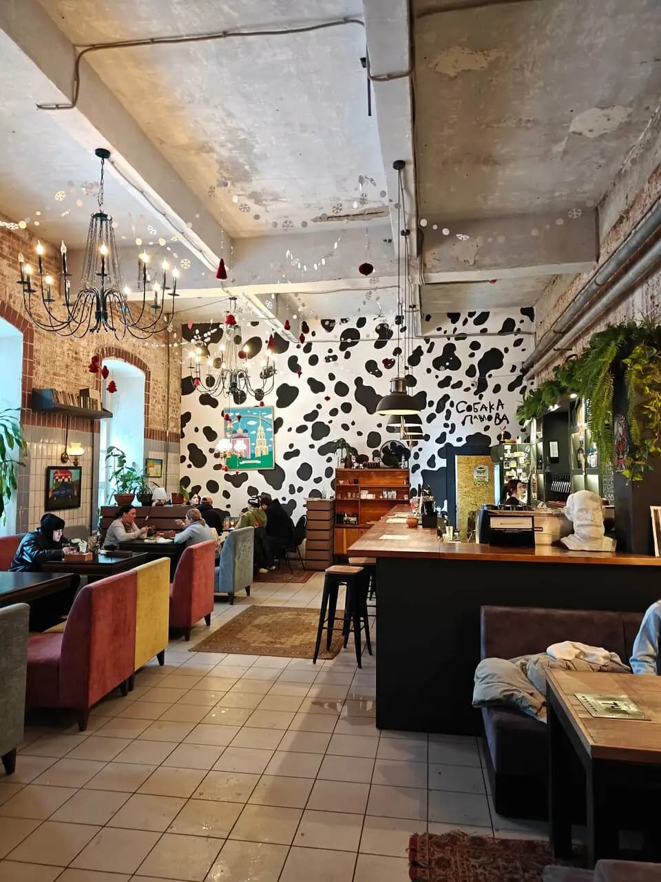 Собака Павлова