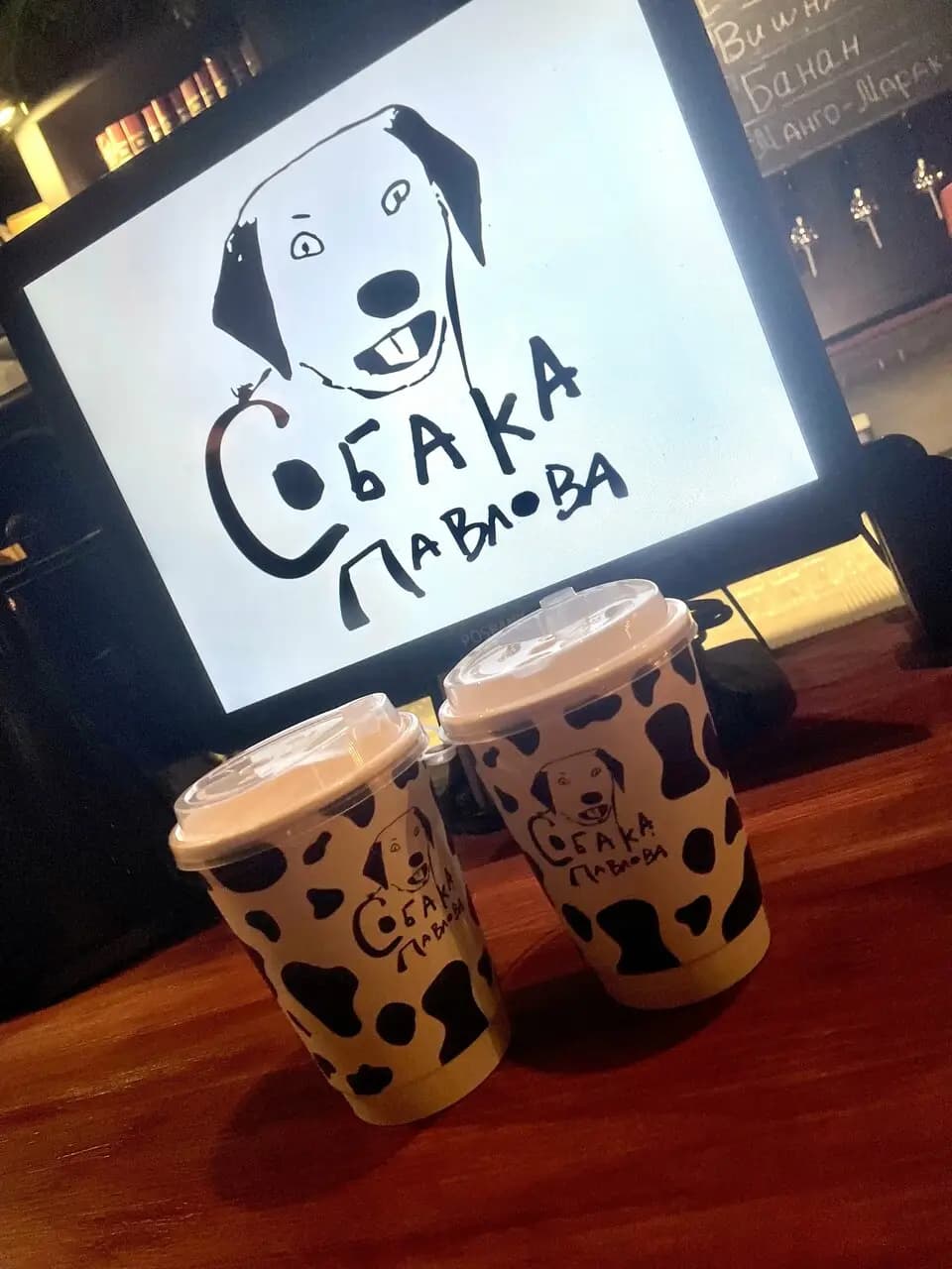 Собака Павлова