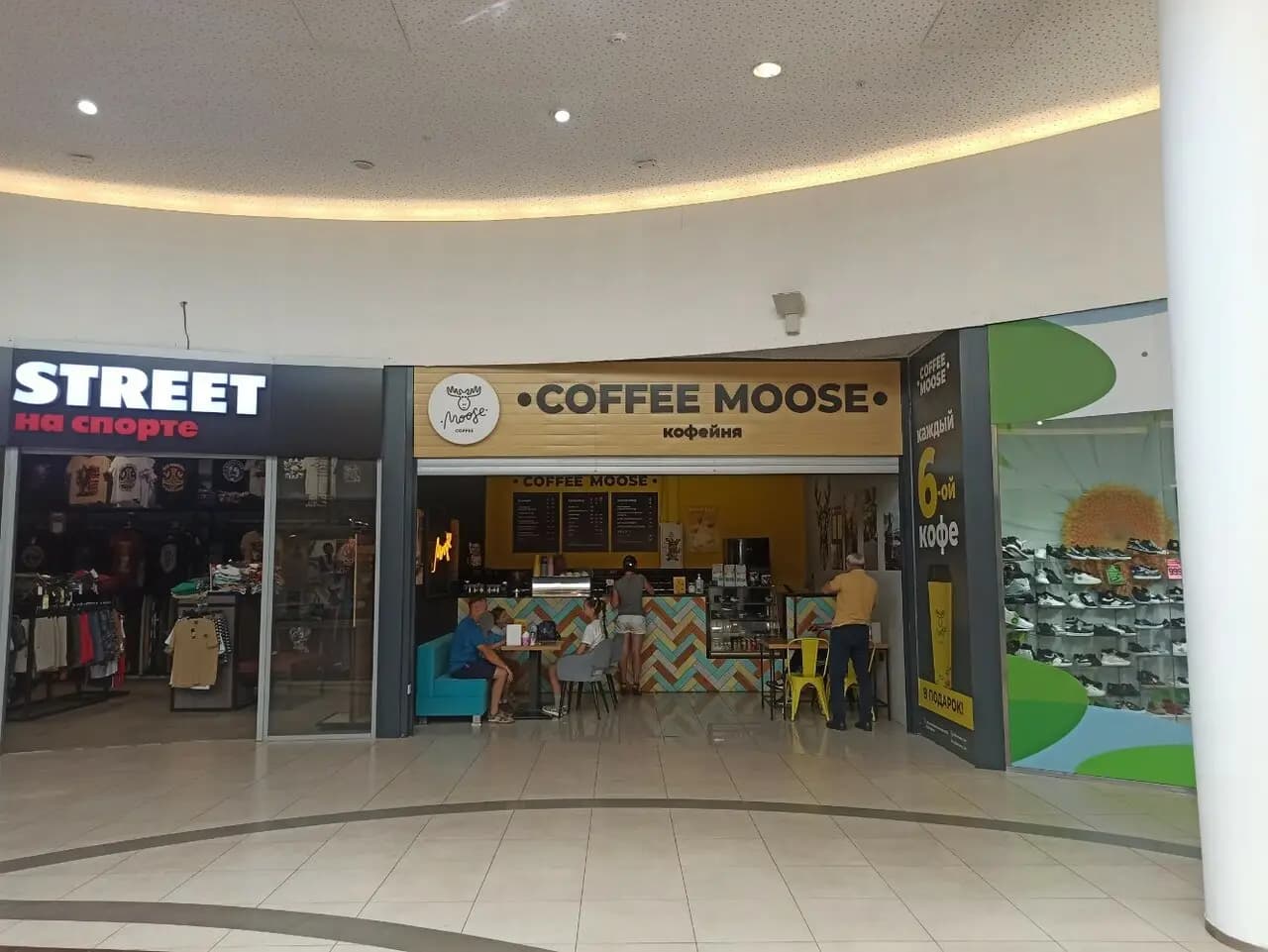 Coffee Moose