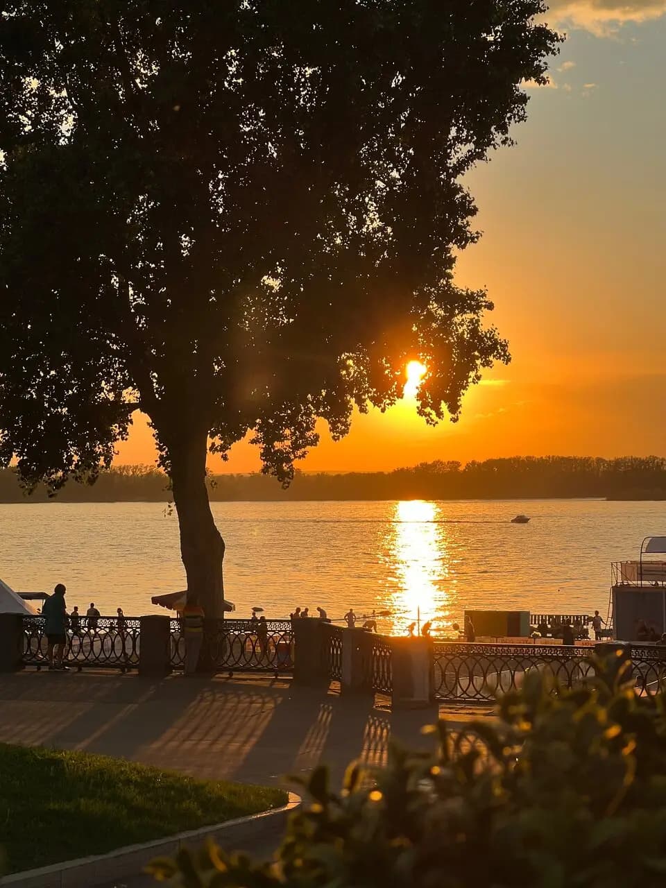 Жизнь Удалась