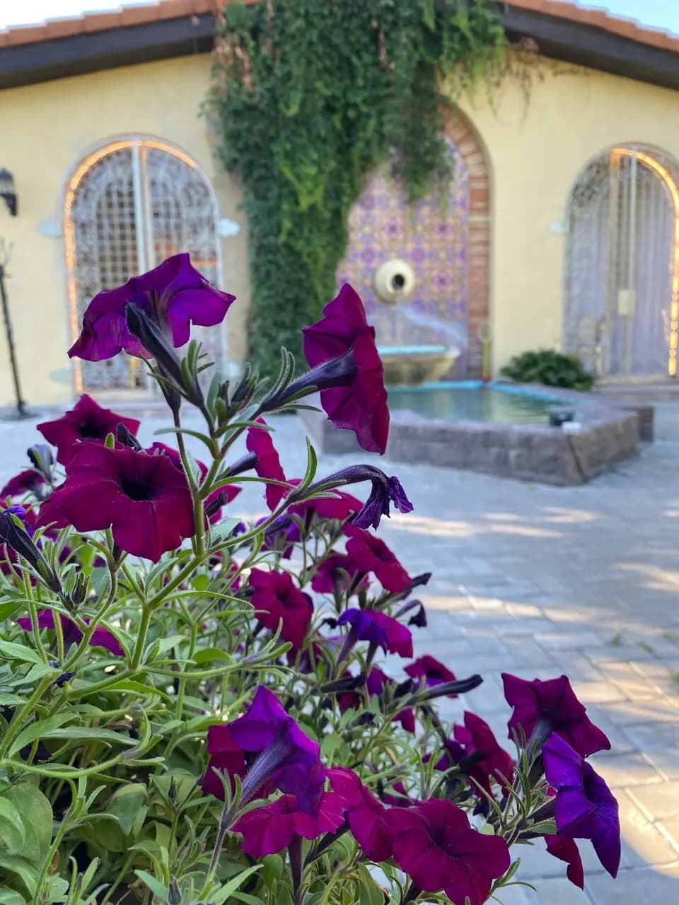 Мавританский дворик