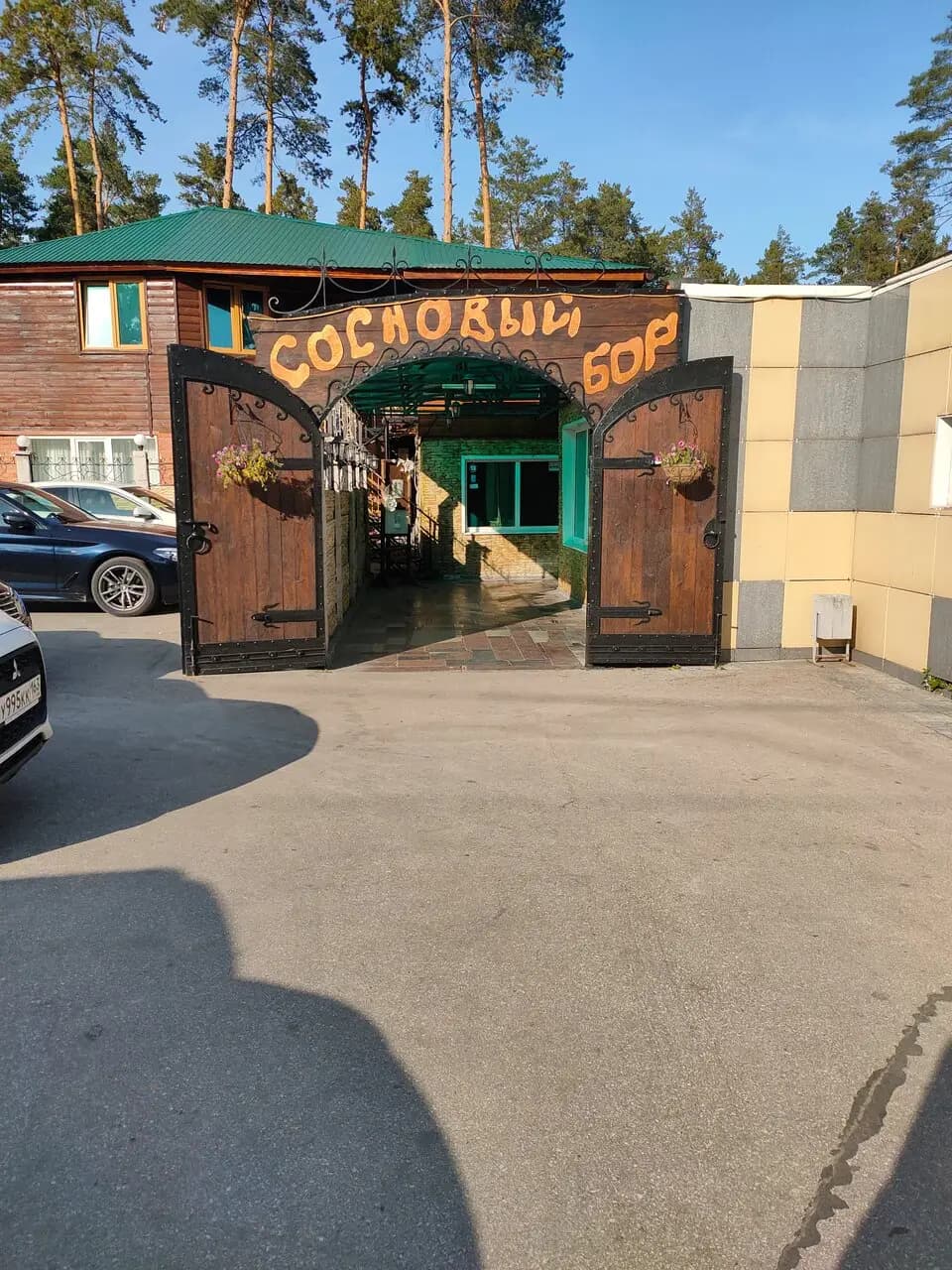 Сосновый бор