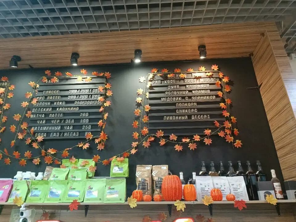 Кофейный лис